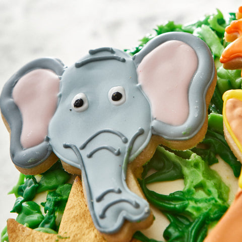 Jungle Quartet Cake
