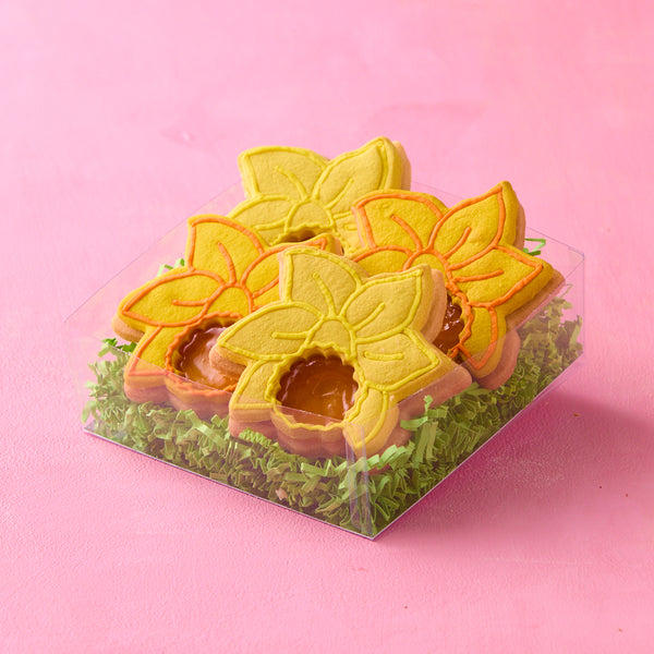 Apricot Daffodils Box of 4