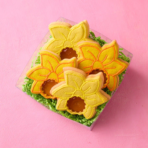 Apricot Daffodils Box of 4