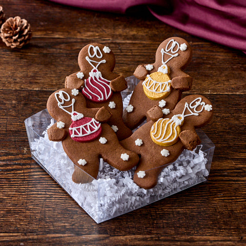 Festive Gingerbread Box of 4